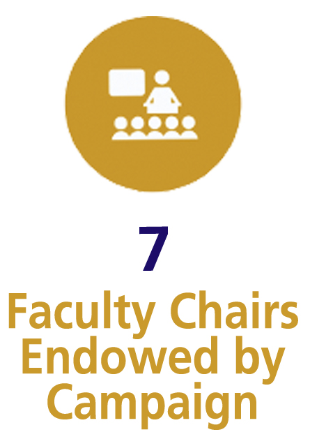 faculty endowed chairs infographic