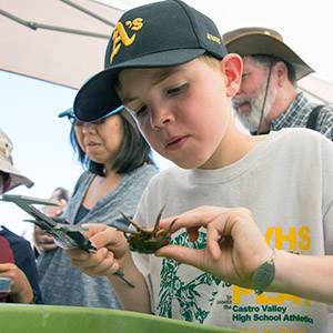 Child at Discovery Day