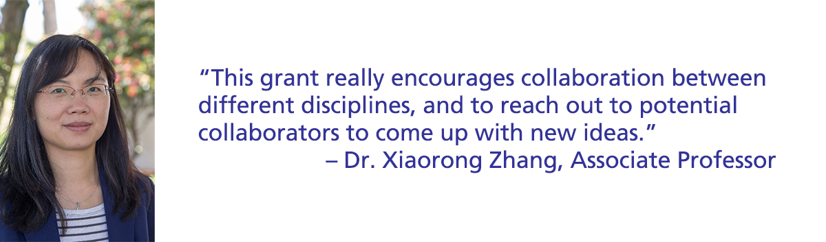 Dr. Xiaorong Zhang, Associate Professor