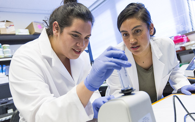 two scientists in science lab