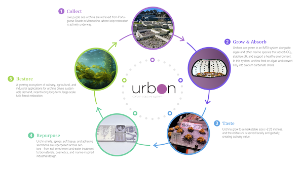 Team Urbon biodesign project image
