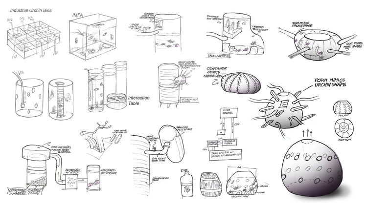 Team Urbon biodesign project image