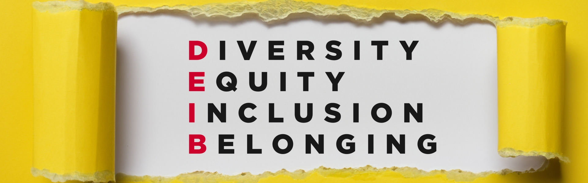 Diversity Equity Inclusion Belonging graphic