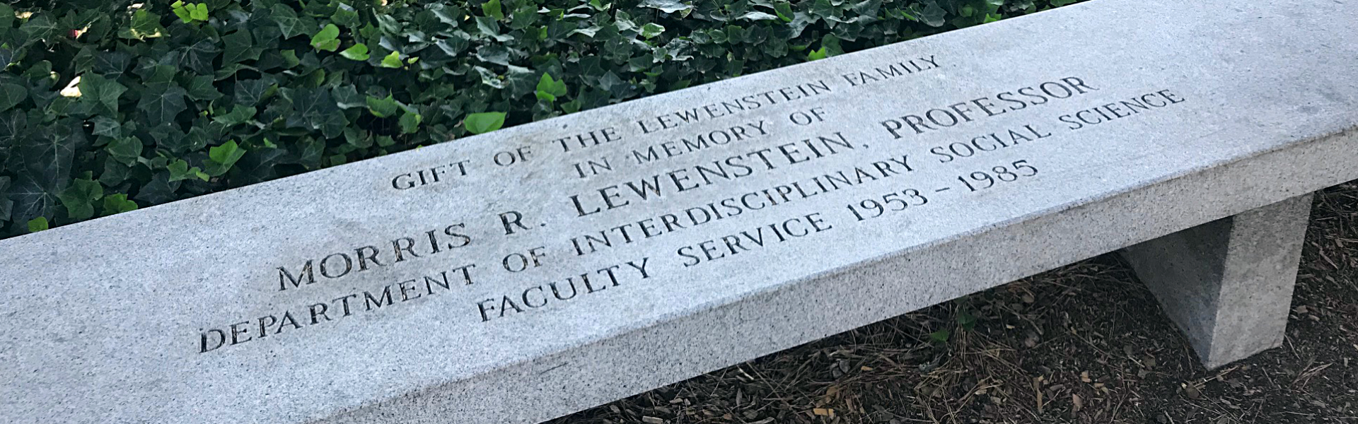 Bench commemorating Professor Lewenstein