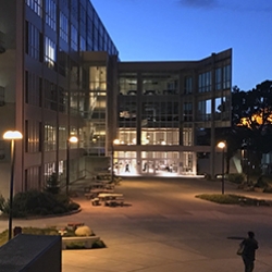 The library at night