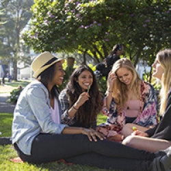 Students hanging out together on the quad
