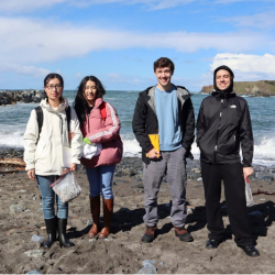 Urbon team during fieldtrip at Noyo Beach, in Fort Bragg, California. From left to right, SFSU design students, Huan Chang, Xin Zhang, Luke Seeley, and  Elliot Ostergaard).